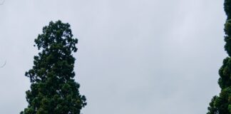 Elektryczna brama wjazdowa