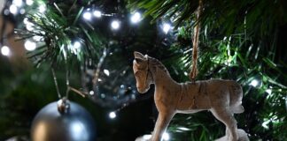 Jak zrobić kartkę online?