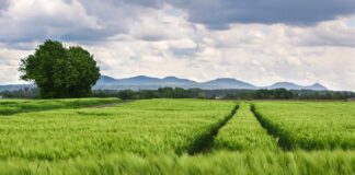 Jak zmierzyć rozstaw zamka w drzwiach?