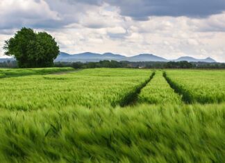 Jak zmierzyć rozstaw zamka w drzwiach?