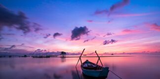 Jaki kolor zasłon do białych mebli?