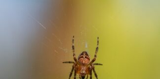 Ile waży kątownik 40x40x4?