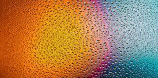 Czy trzeba myć kiełki?