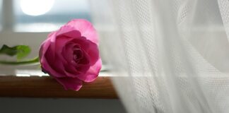 Ile firanki na karnisz 3 m?