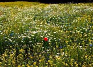 Co zrobić z odstającym paskiem?