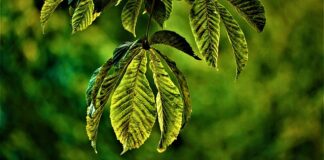 Po czym poznać że jej zależy?