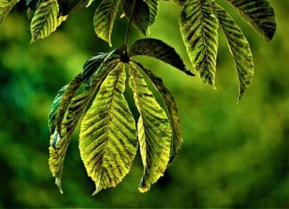 Po czym poznać że jej zależy?