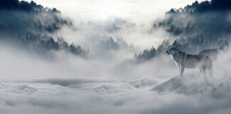 Czego można życzyć z okazji Świąt Wielkanocnych?