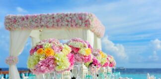 Czym najlepiej osłonić altanę od wiatru?