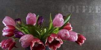 Jak wyglądają sprężyny bonell?