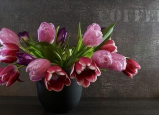 Jak wyglądają sprężyny bonell?