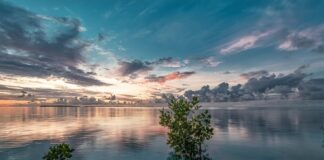 Co zrobić żeby narożnik nie Skrzypiał?