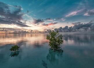 Co zrobić żeby narożnik nie Skrzypiał?