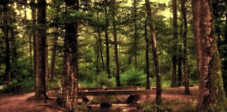 Czy lustro LED daje dużo światła?