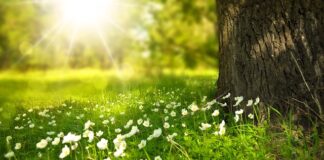 Jakie światło do łazienki bez okna?