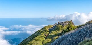 Czy kiełki powodują wzdęcia?