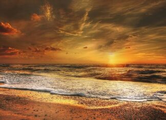 Gdzie kupić złoty łańcuszek do torebki?