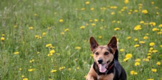 Jak zrobić Wylewkę bez betoniarki?