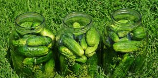 Jak długo kisić ogórki w Kamionce?
