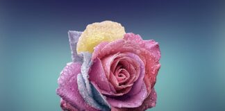 Czym się różni nasadka udarowa od zwykłej?