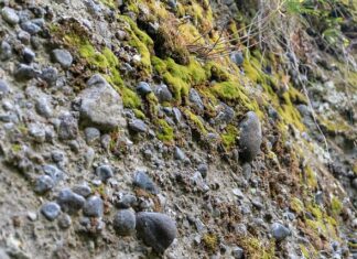 Co jest tańsze spiek czy konglomerat?