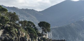 Ile kosztuje arkusz blachy dekarskiej?