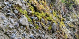 Czy konglomerat się rysuje?