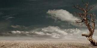 Jak samemu zrobić suchy beton?