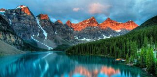 Jaki kamień do kiszenia kapusty?