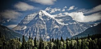 Jak zamontować bit we wkrętarce?