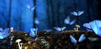 Ile m3 drewna na dach 100m2?