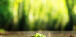 Jak znaleźć dobry beat?