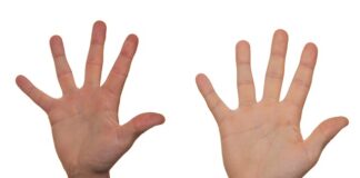 Ile osób usiądzie przy 4 metrowym stole?